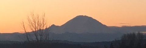 Natalia Mackevicius banner