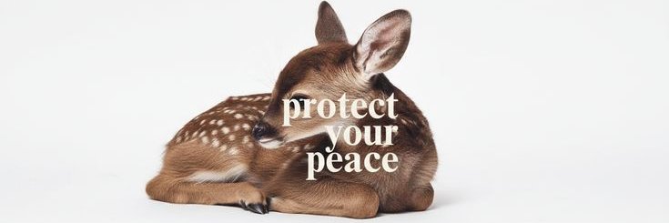 ℒ𝒿 banner