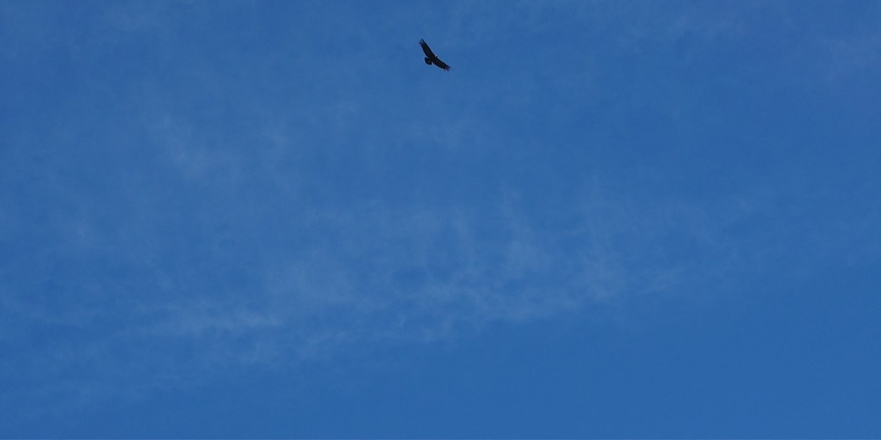 ST2010's profile banner image