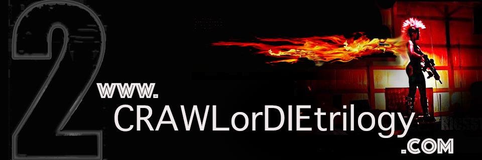 Nicole M Alonso banner