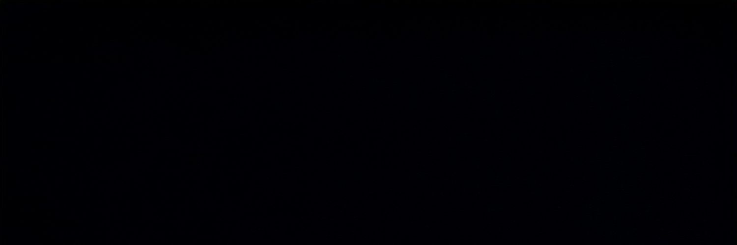 stevebeemer's profile banner image
