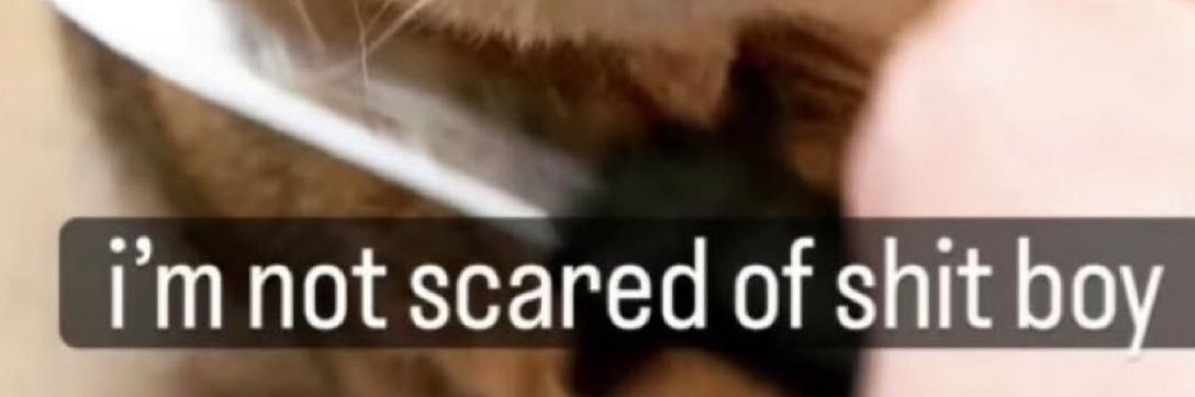 Heptad 7️⃣ banner