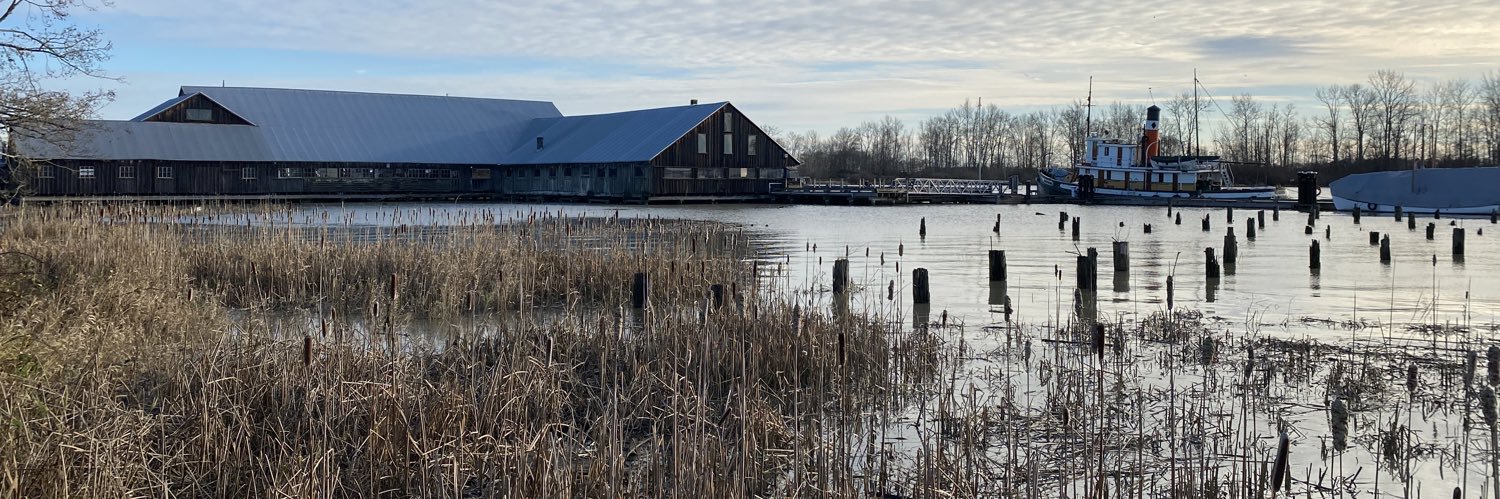 stevestonLife's profile banner image