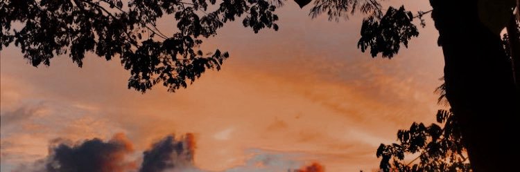 ｢ Aʟᴇxᴀɴᴅᴇʀ ｣ banner