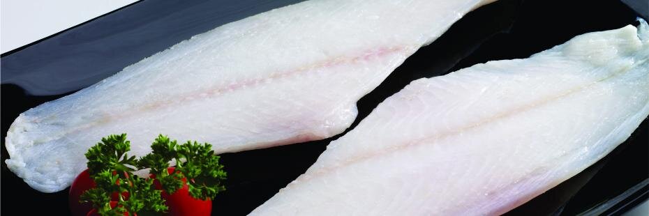 Netmar S.A. de C.V. banner