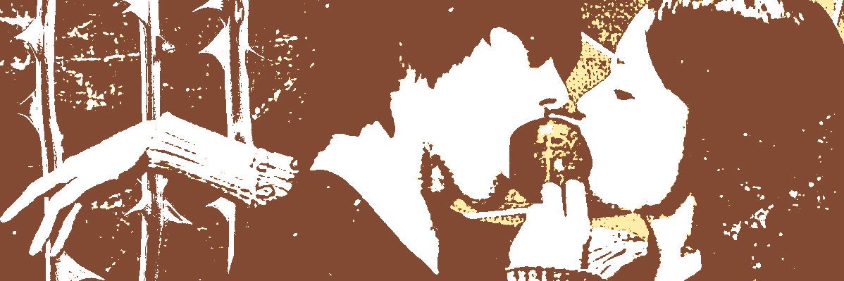 zac banner