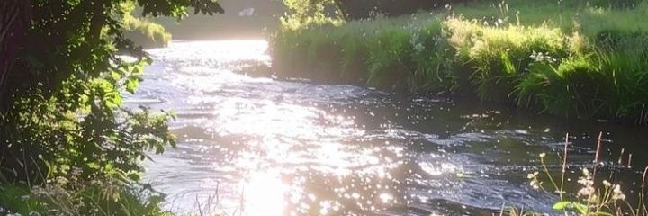 SILVER_KNUCKLES banner