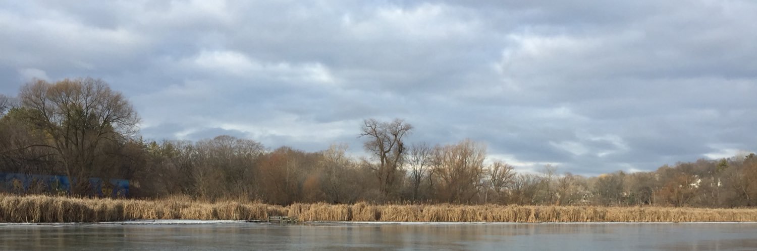ManeToronto's profile banner image