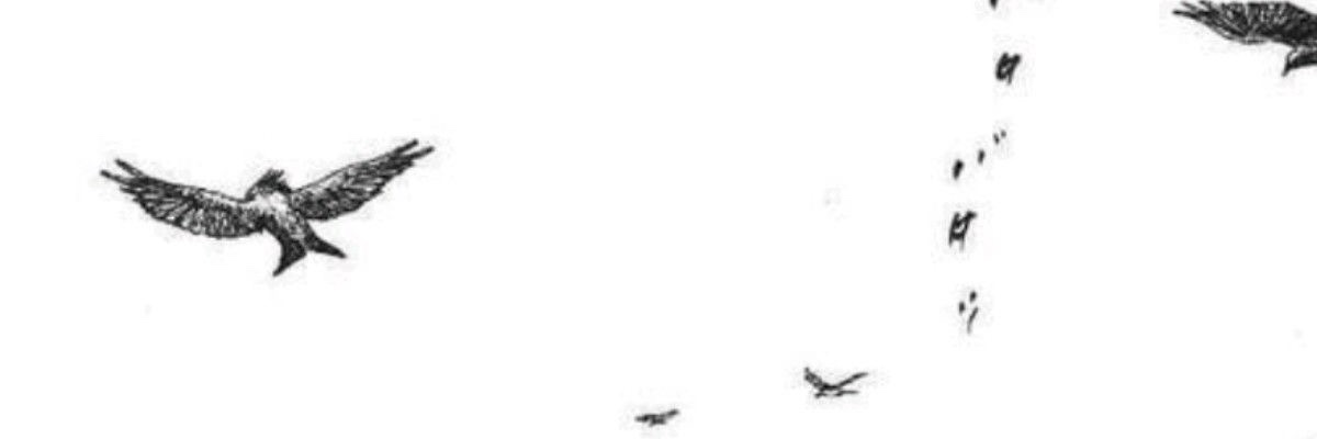 natty ^_^ banner