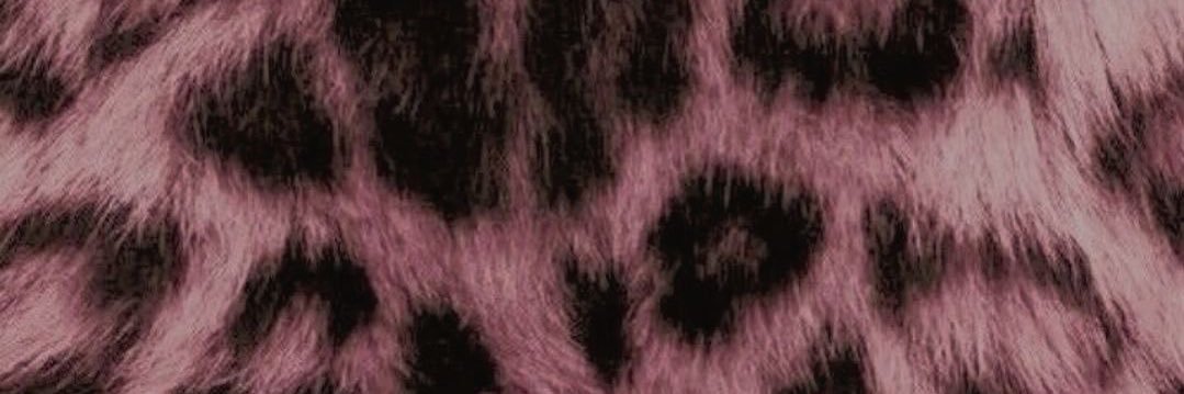 prettyprincess banner
