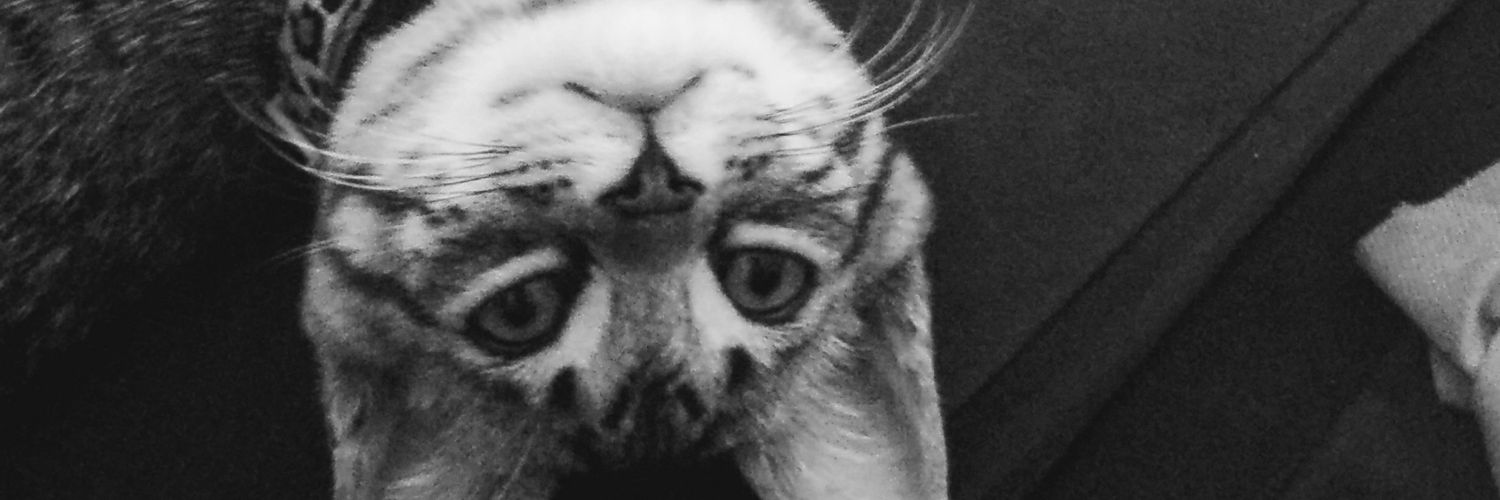 CharlotteJonesR's profile banner image