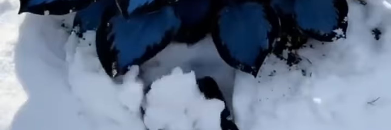 DoingStuffRight banner