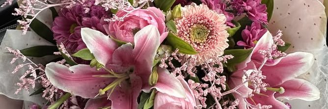 maria 🦊ིྀི banner