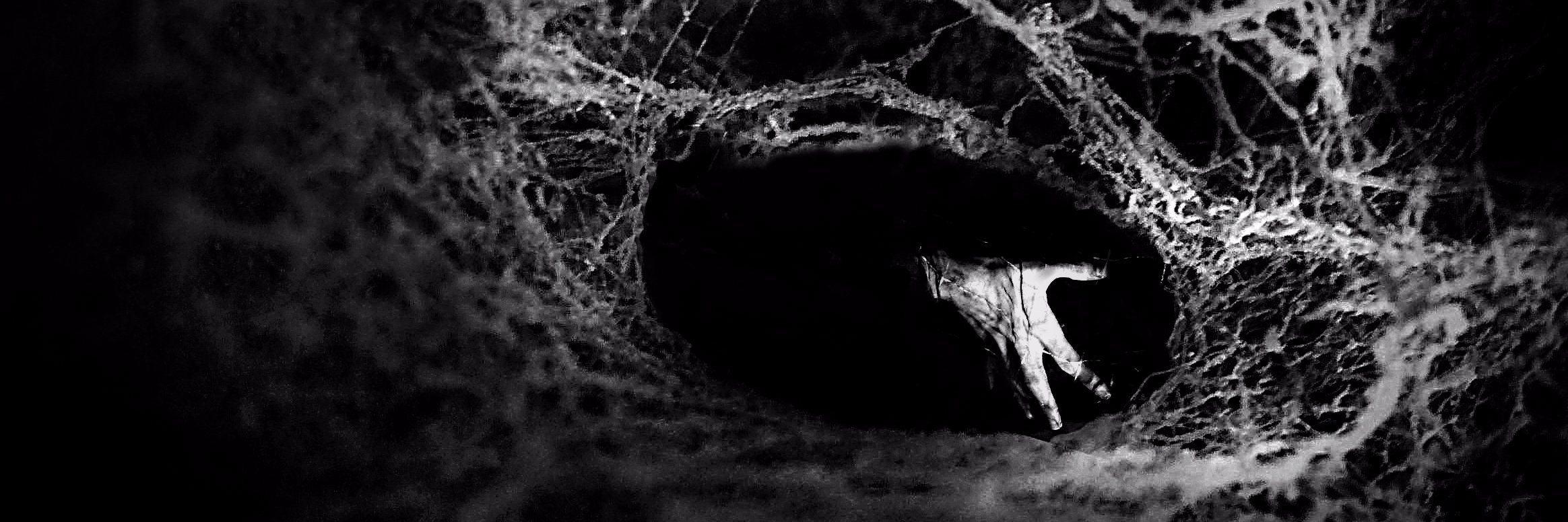 TheShadowDH's profile banner image