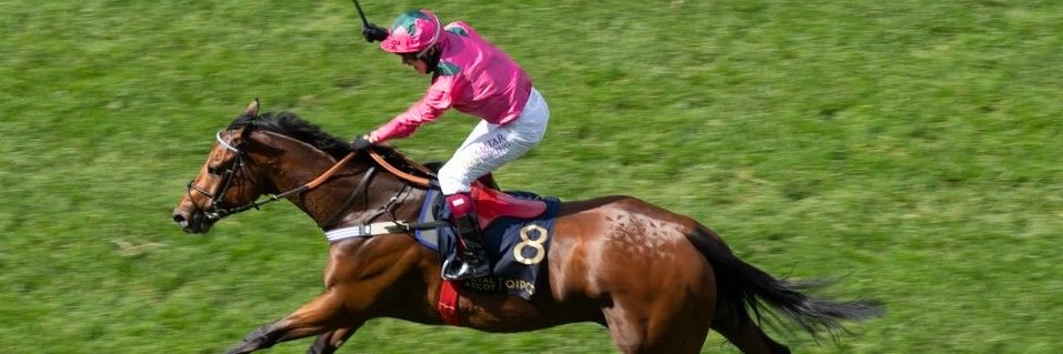 RacingPurses's profile banner image
