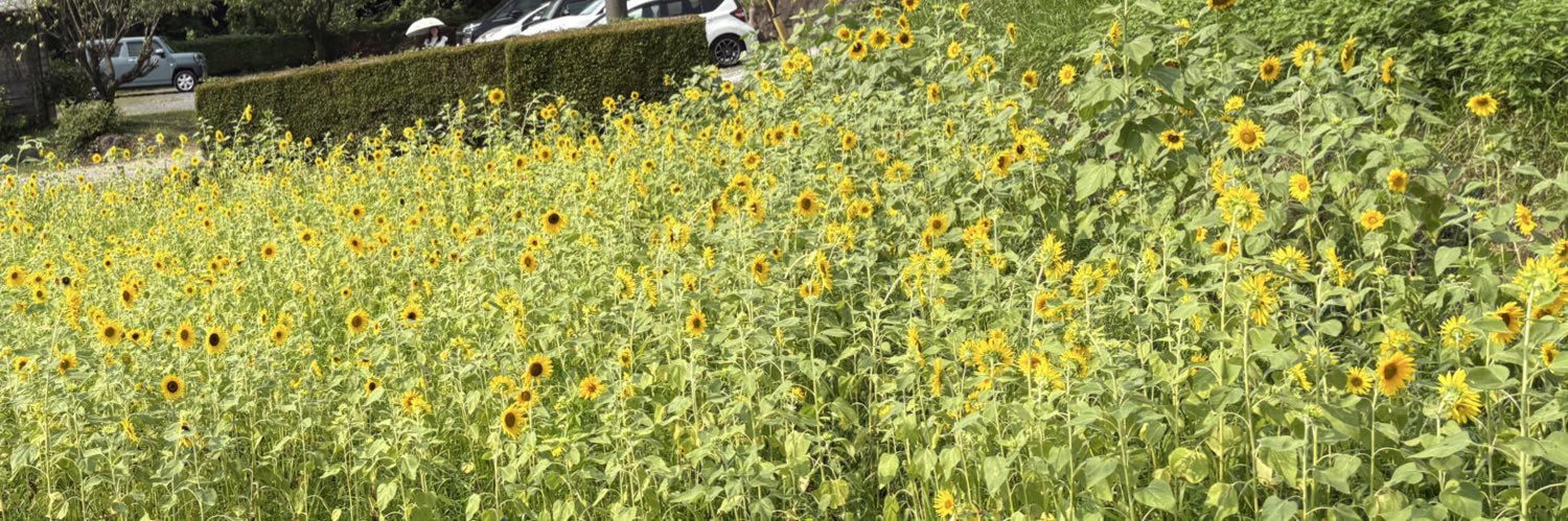 ちかね@マタ垢8w banner