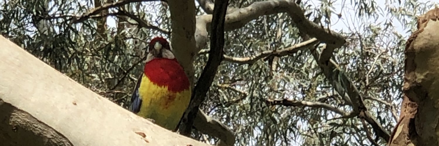 Philip Downes * banner