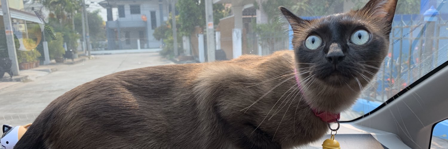 บุบุ🍫 banner