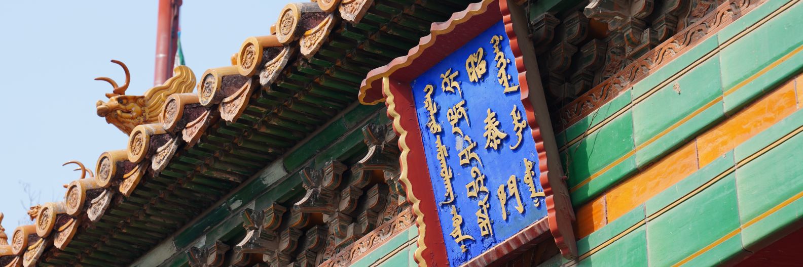 凌伍🦍 banner