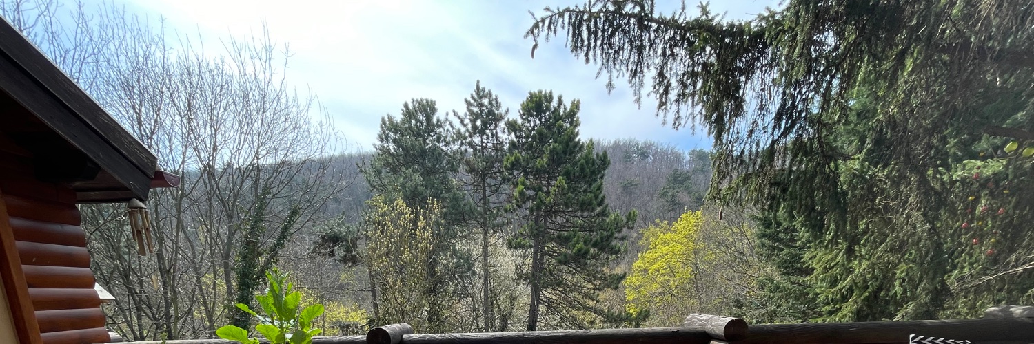 Himmelman's profile banner image