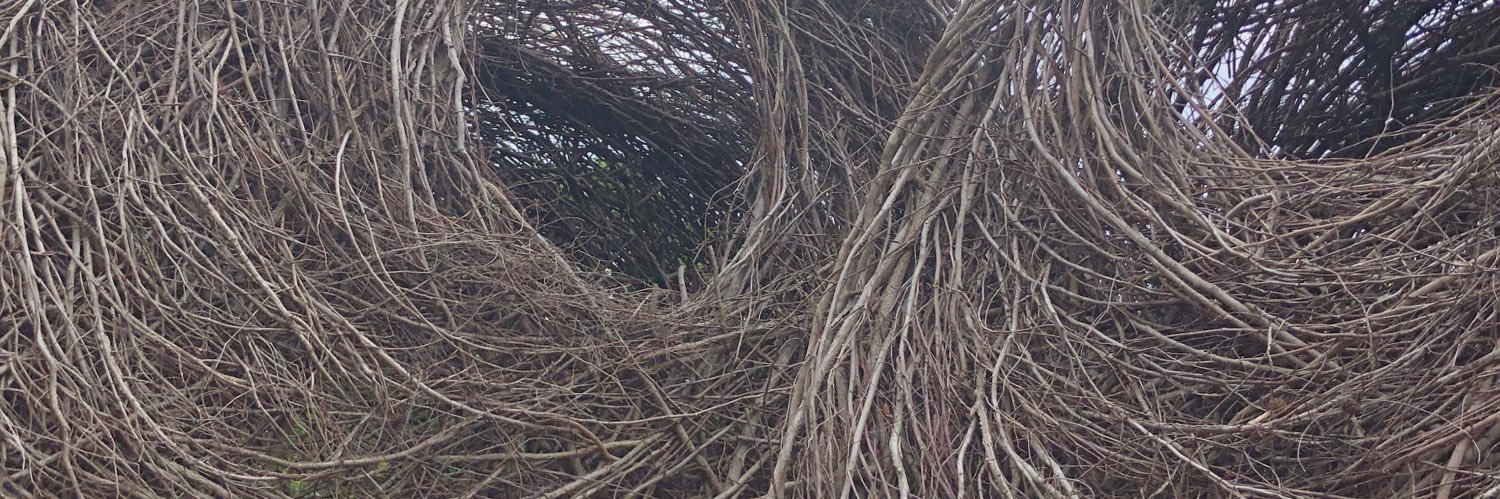 Lark1973's profile banner image