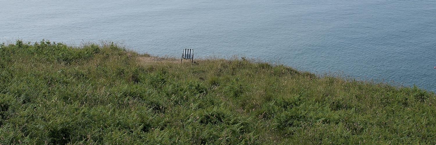 David Lloyd Owen banner