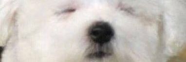 ynaryndra's profile banner image
