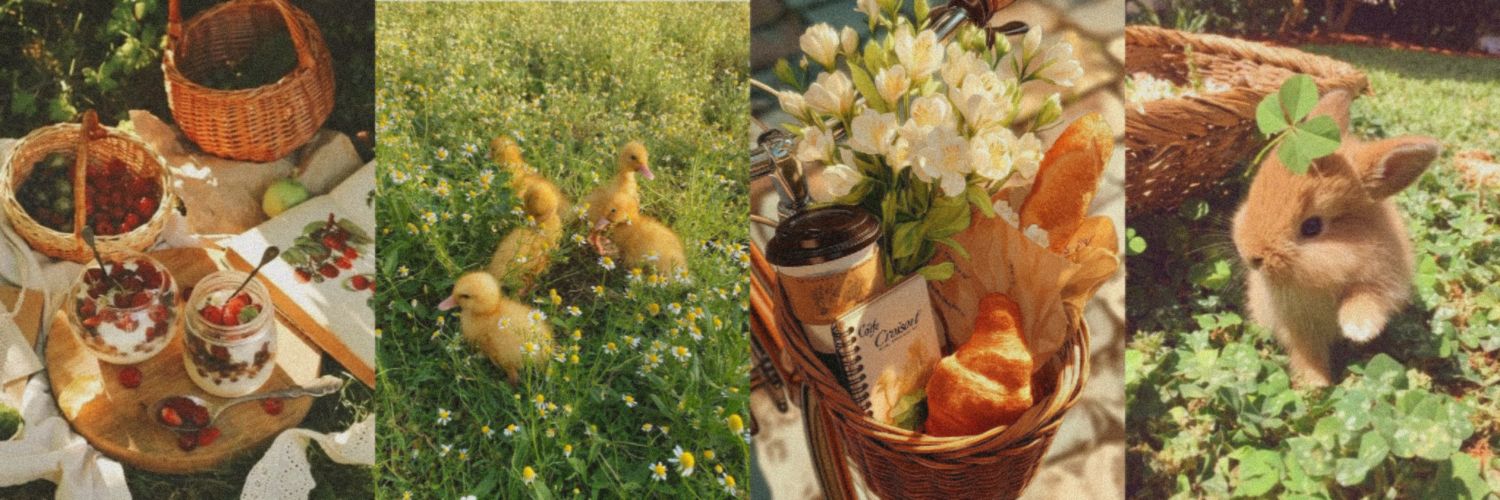 徐若晗cici ♥︎ banner