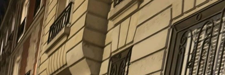 swina banner