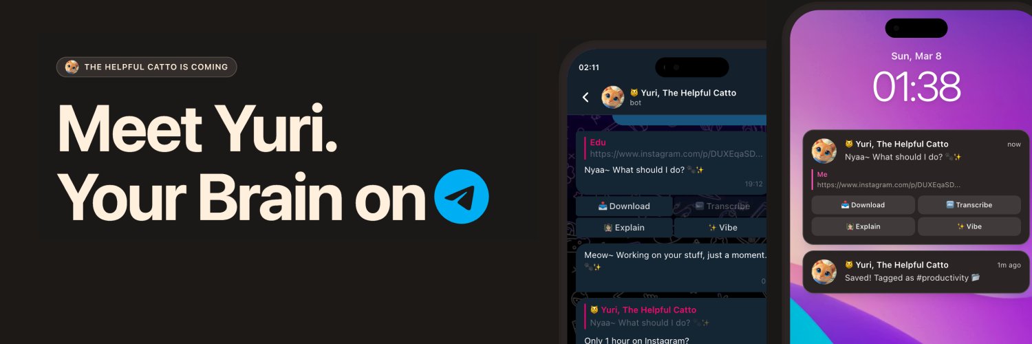 😸 Yuri, The Helpful Cat → yurihelpful.com banner