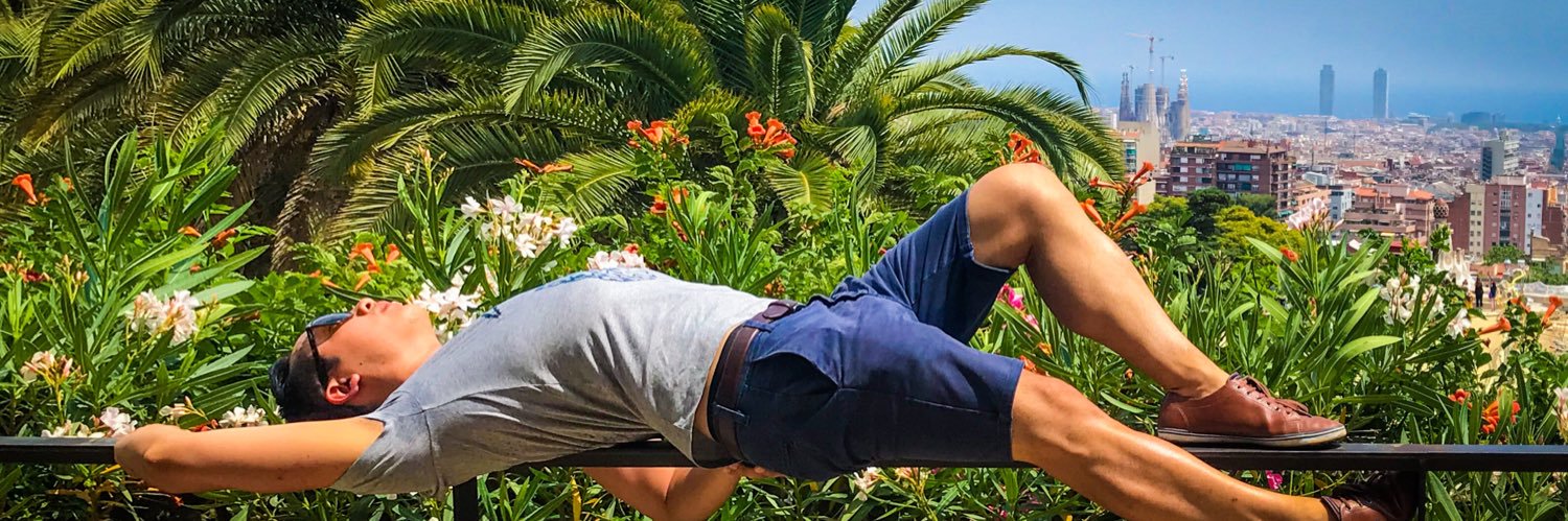 pulvardon's profile banner image