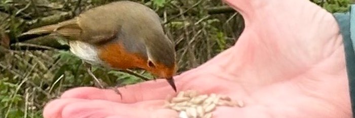 Fatbirder's profile banner image