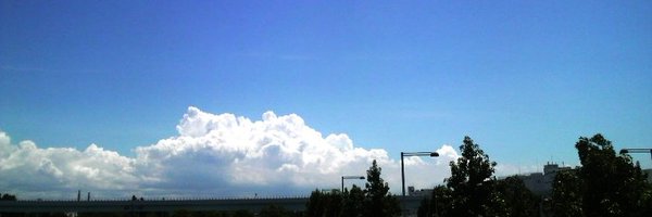 nichigai_book Profile Banner