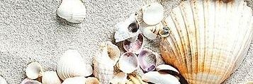 Welcometomacbig's profile banner image