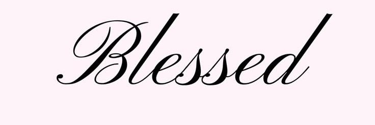 Chanyoungie🪽 banner