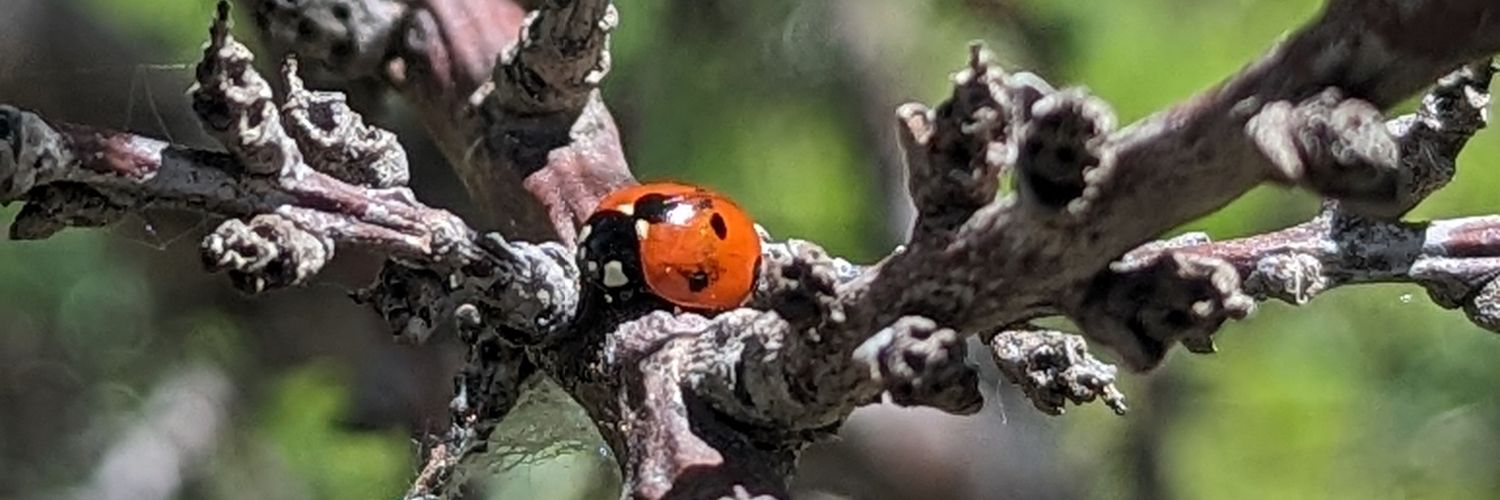 PattyGakis's profile banner image