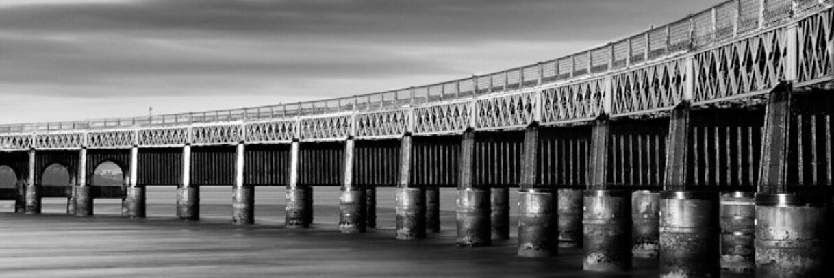 Sarah Baskerville 🏴󠁧󠁢󠁳󠁣󠁴󠁿🦄🇪🇺✌🏻🏳️‍🌈 🕷 banner