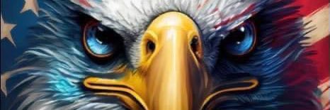 tweutsler's profile banner image
