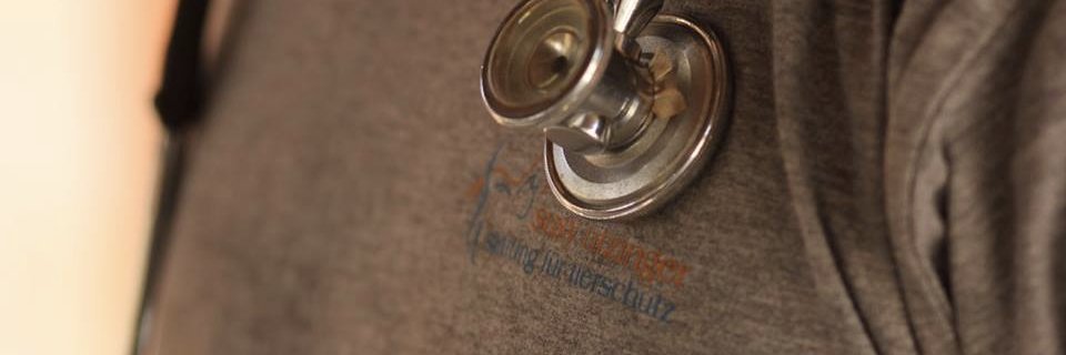 SusyUtzinger's profile banner image