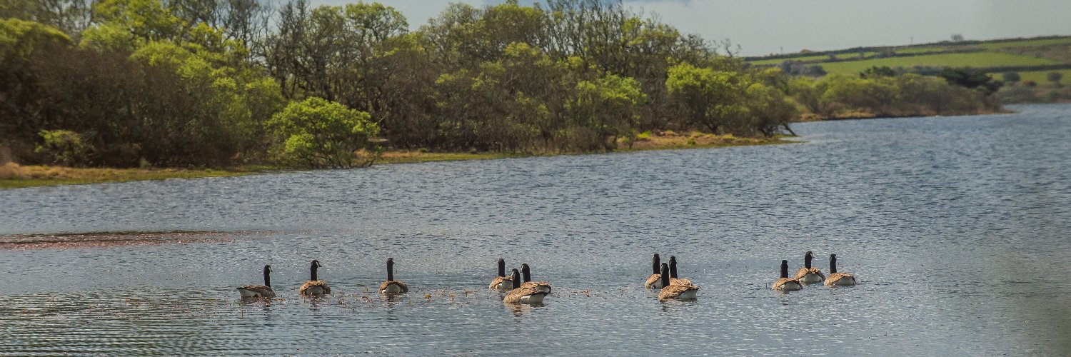 swlakes's profile banner image