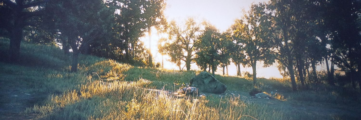 dove🪻| occasional nsfw banner