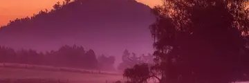 sofiashakeranav's profile banner image