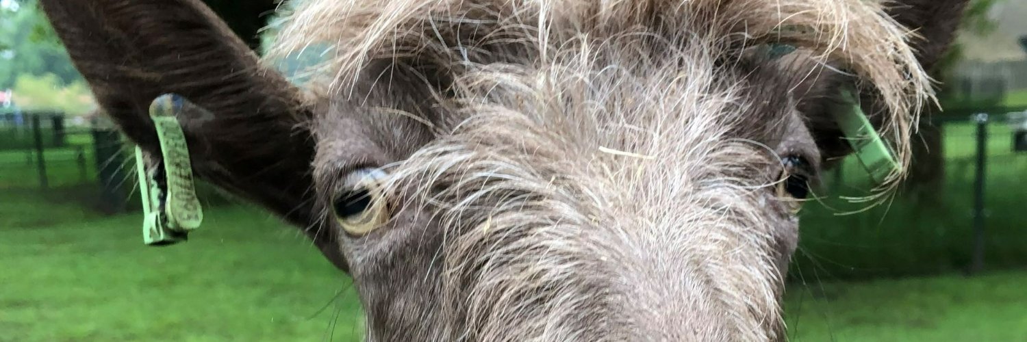 e_edema's profile banner image