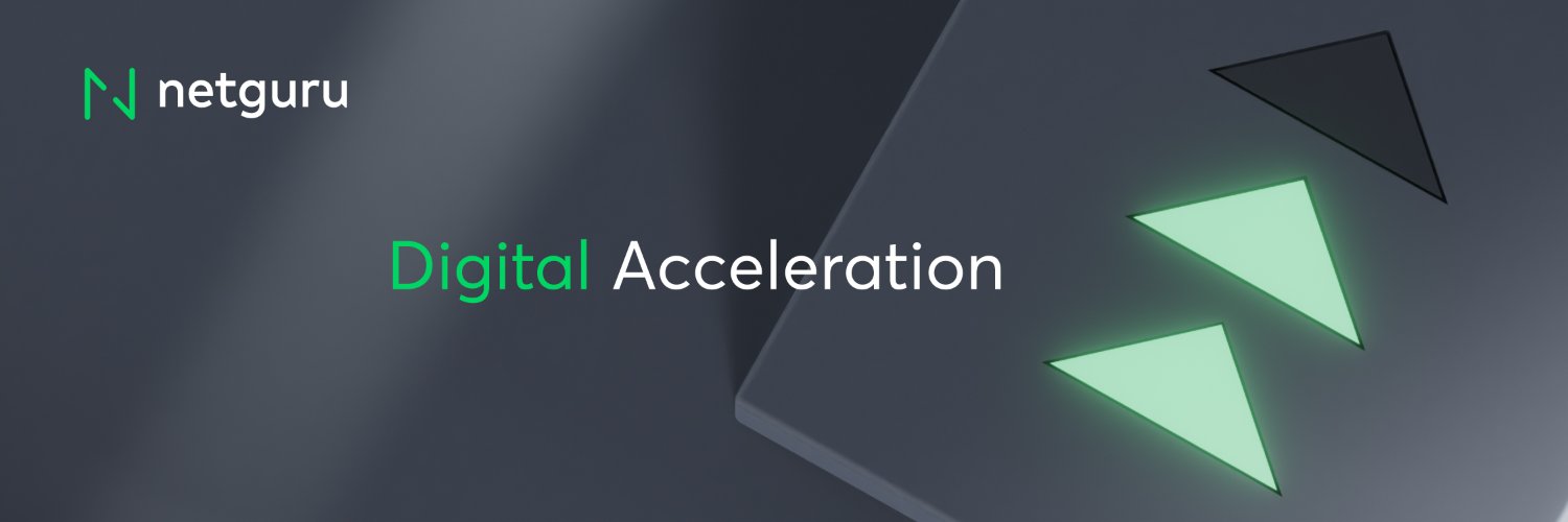 Netguru banner