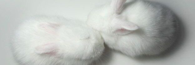 cheriIiicnc's profile banner image