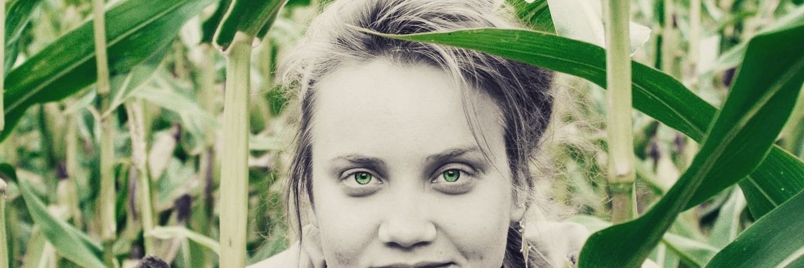 dymanta banner