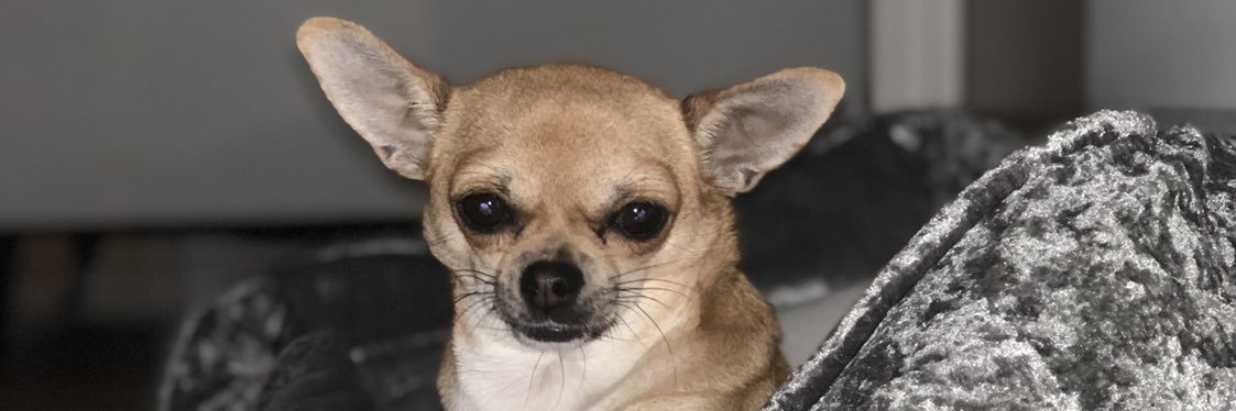 angielliott's profile banner image