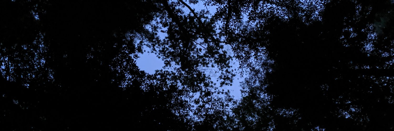 Sarahngb's profile banner image
