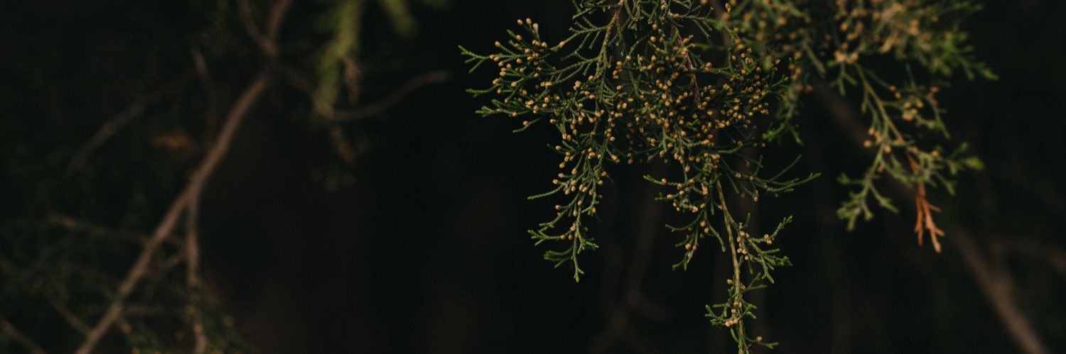 KaseyLoftin's profile banner image