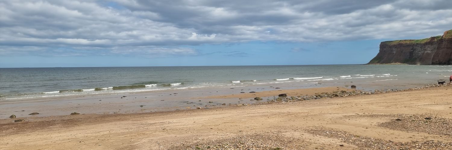 Richard Fenn 🇬🇧 banner